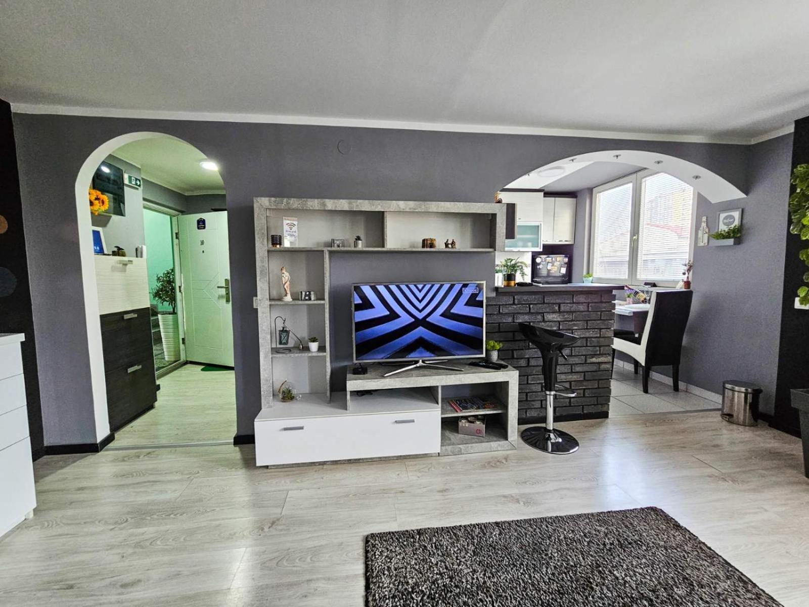 Savic Apartment Center - Parking Free Nis Bagian luar foto